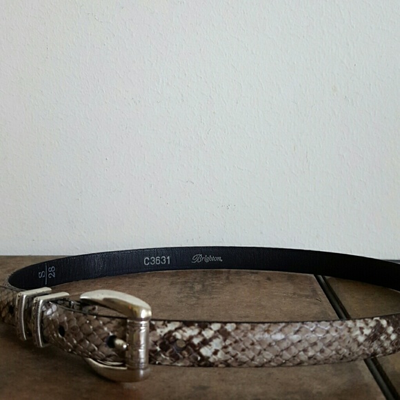 Brighton Snakeskin Belt - Picture 3 of 4